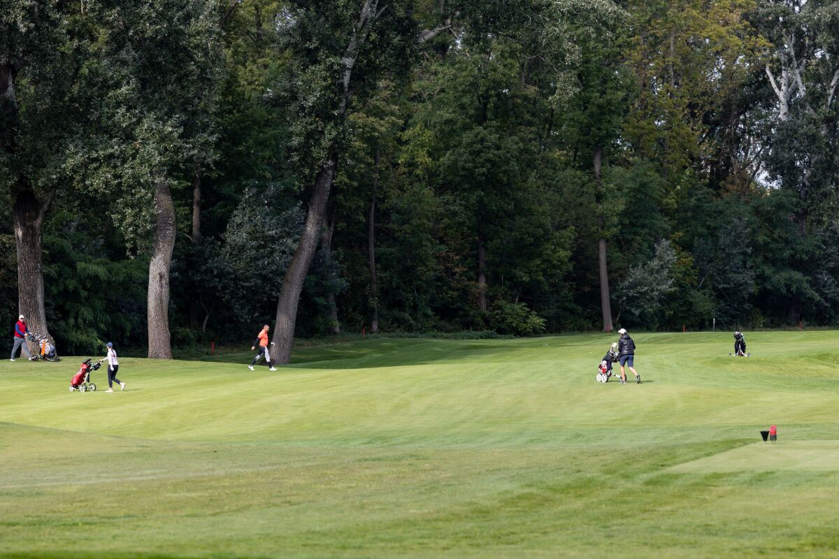 sedin golf pravda ta3