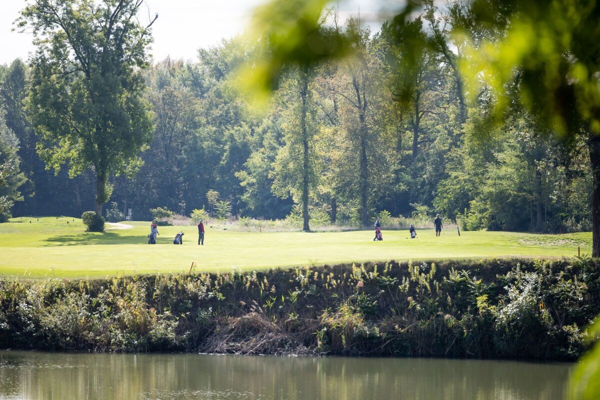 sedin golf pravda ta3