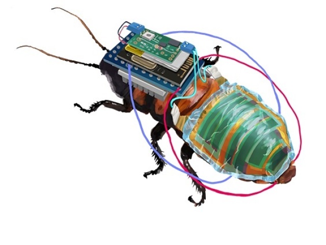 svab cyborg