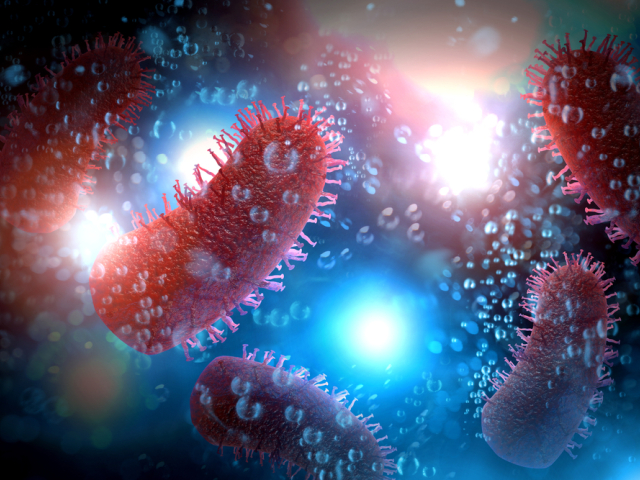 virus besnoty, besnota, nákaza, infekcia,