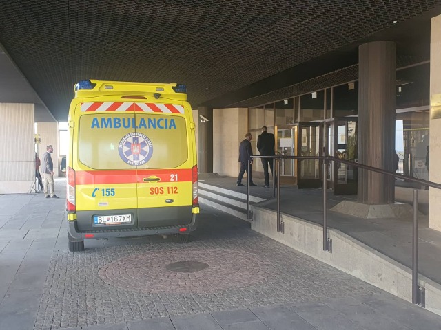 sanitka parlament