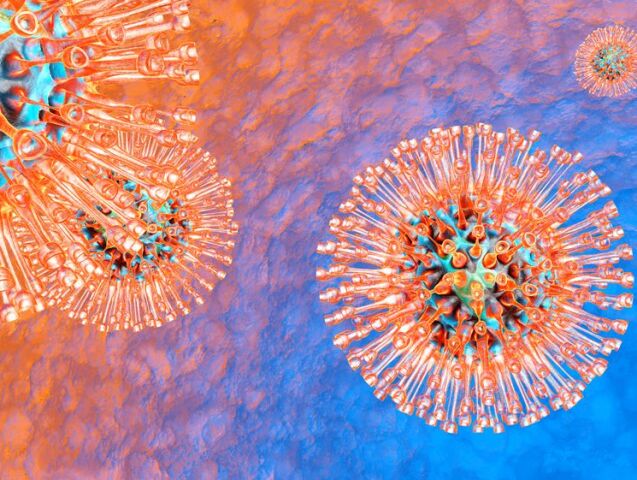 herpes virus