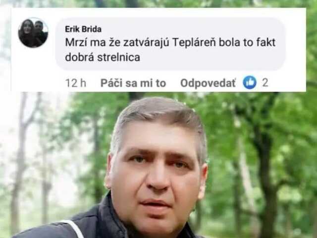 zámocká