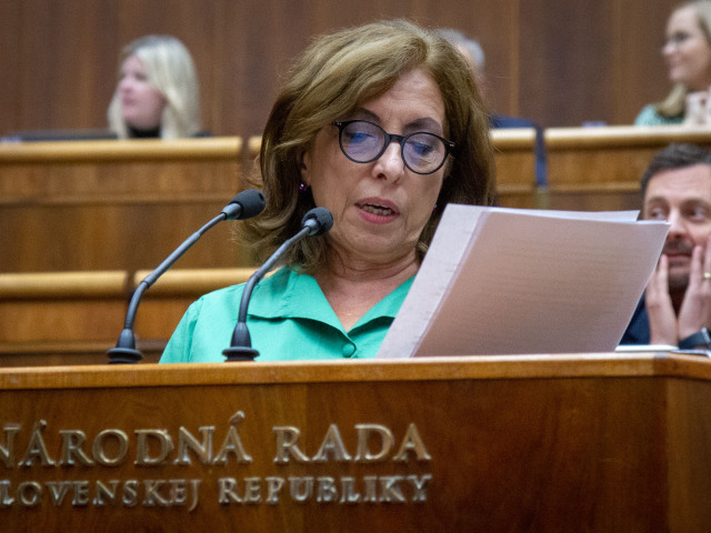 Anna Zemanová, parlament