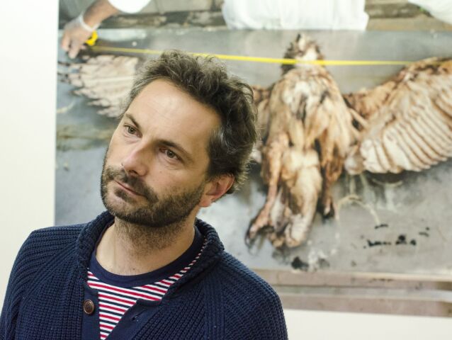 Martin Kollar