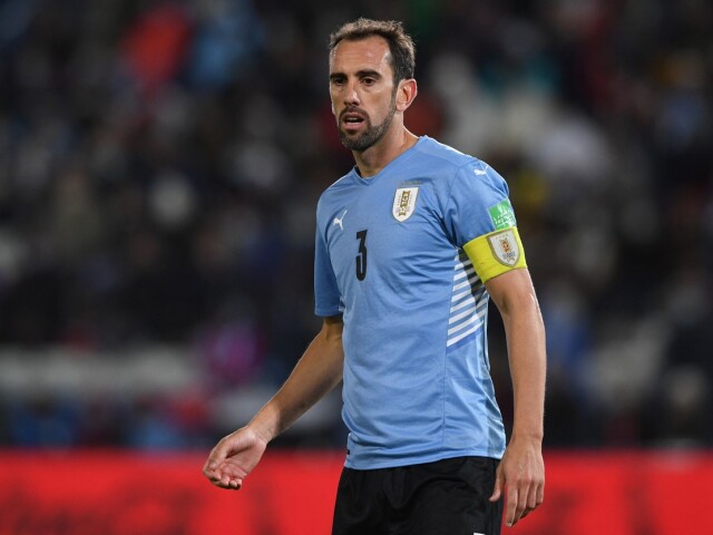 Diego Godín