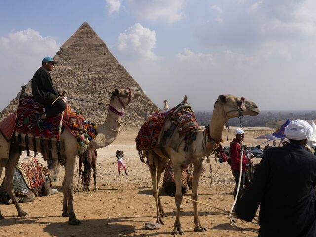 Egypt, ťava, Giza, pyramídy