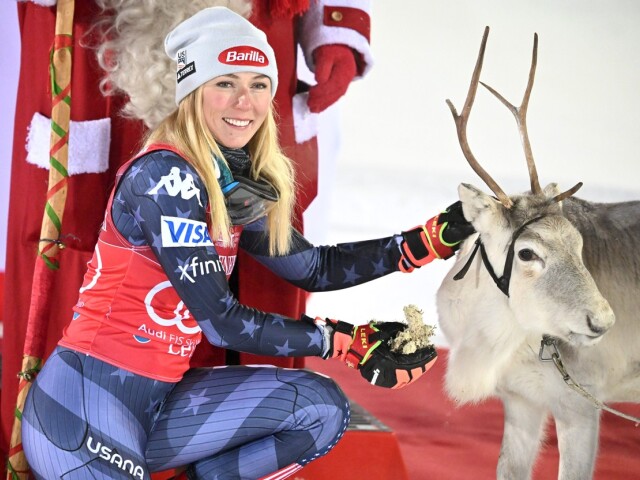 Shiffrin Levi