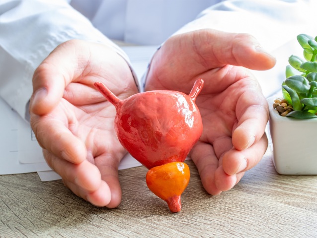 urológia, rakovina prostaty, doktor, liečba, vyšetrenie