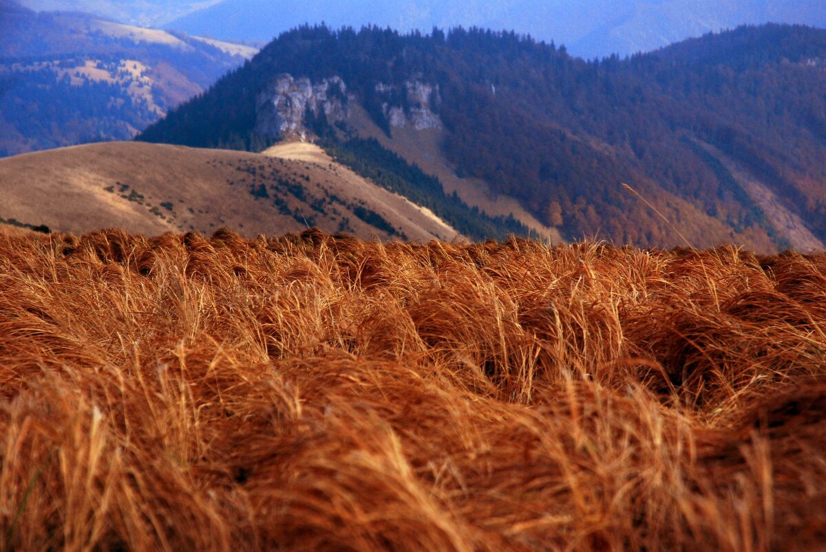 Veľká Fatra turistika jeseň