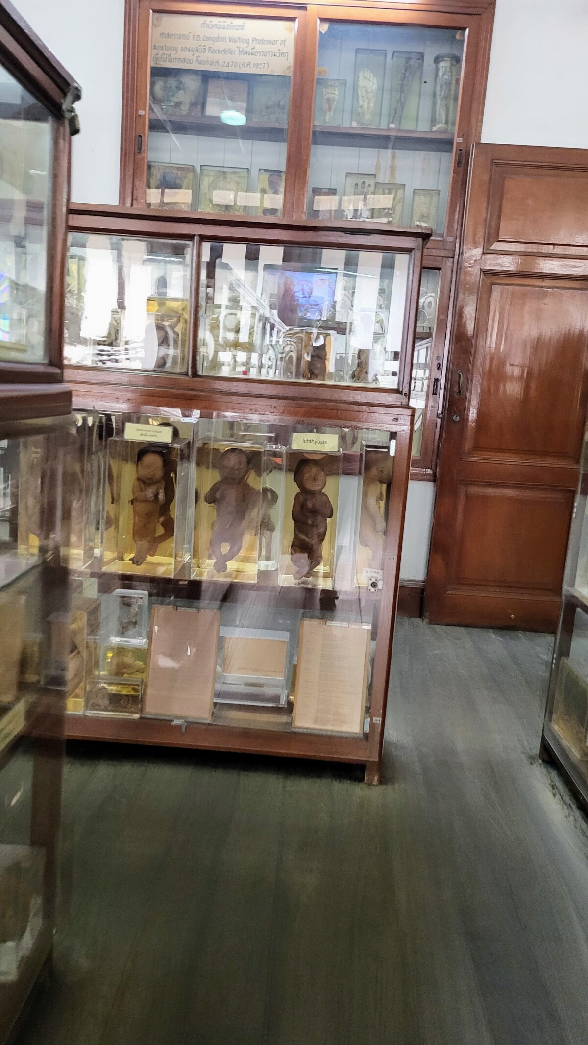 Anatomické múzeum, Bangkok