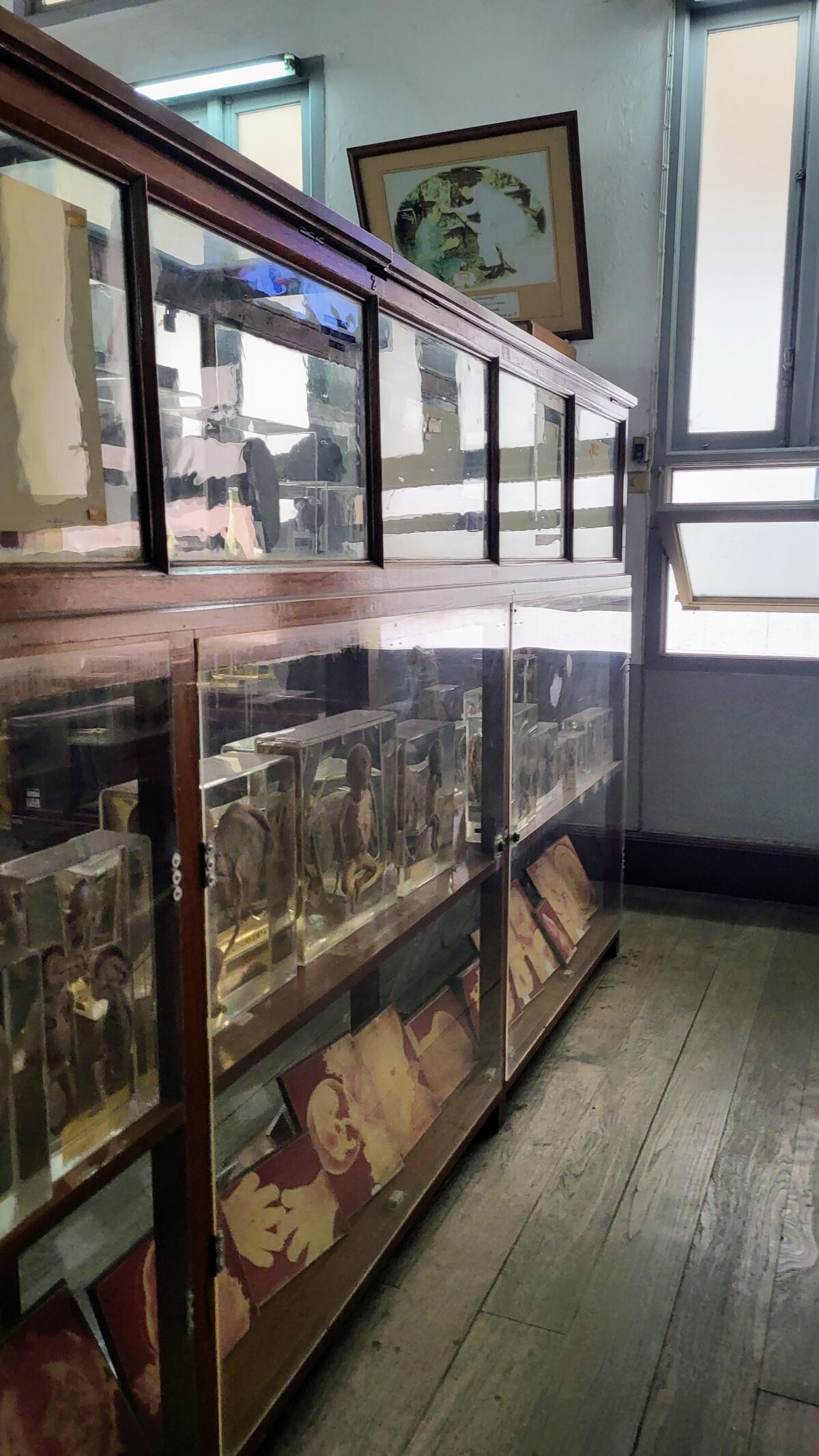 Anatomické múzeum, Bangkok