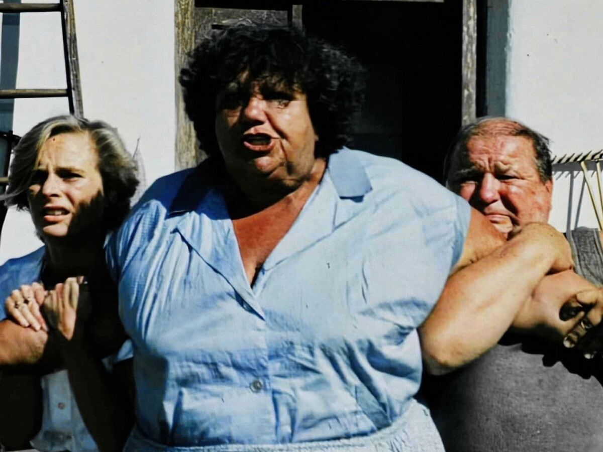 slunce, seno a pár facek,