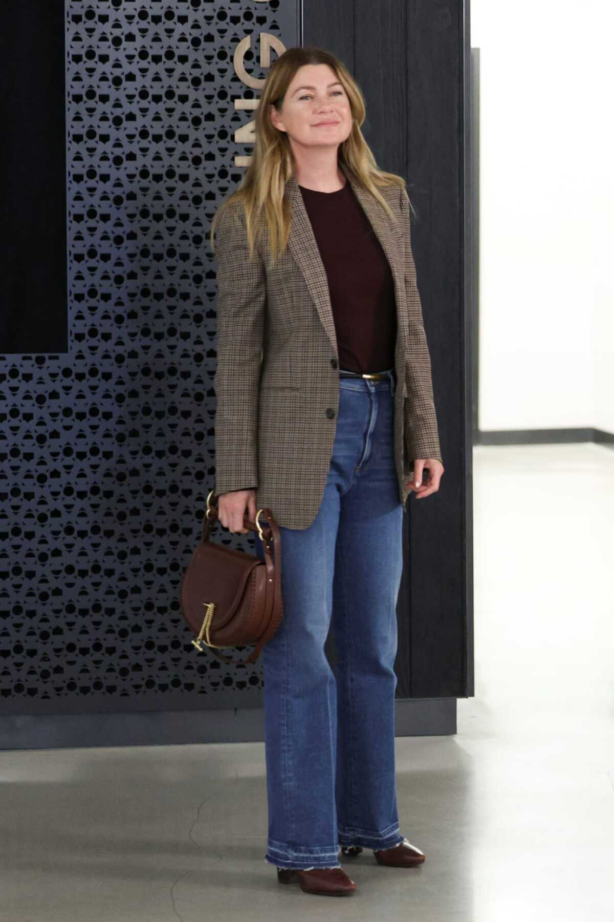 klinika grace, greys anatomy, ellen pompeo,