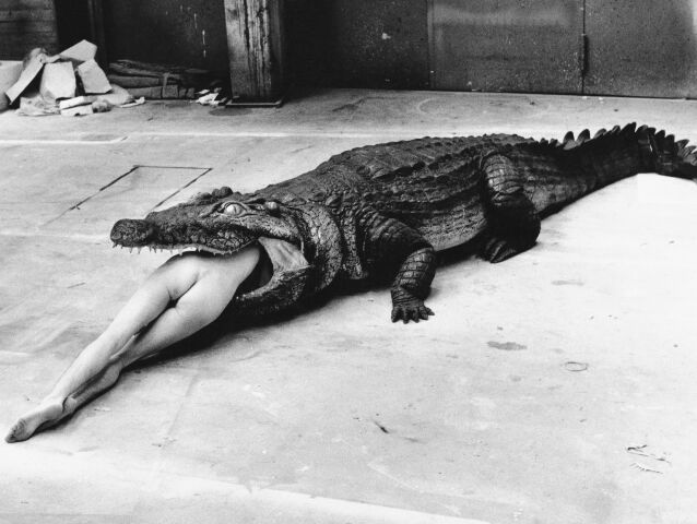 Helmut Newton