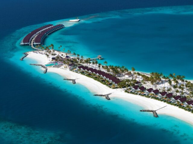 NEPOUZ, Maldivy, exotika, Pelikán