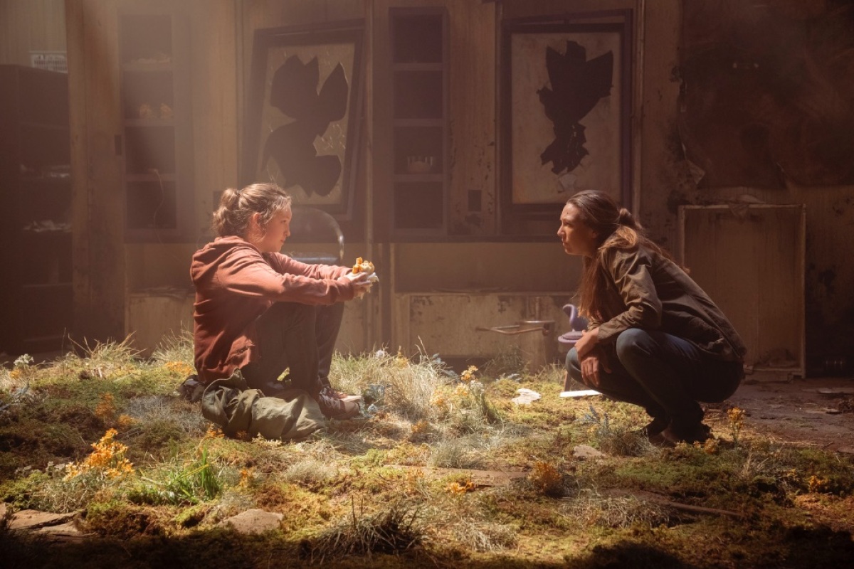 the last of us,