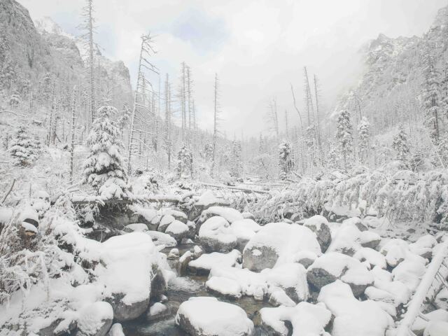 studeny potok, zima, tatry