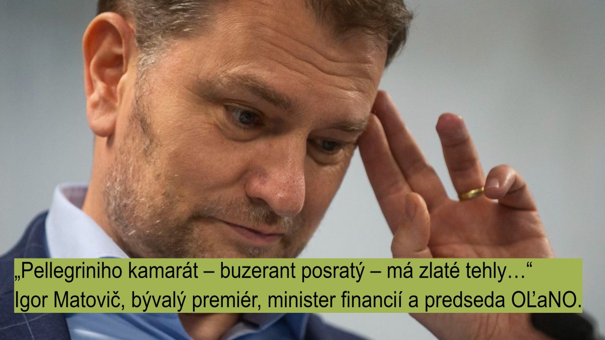 Igor Matovič, Homofób roka