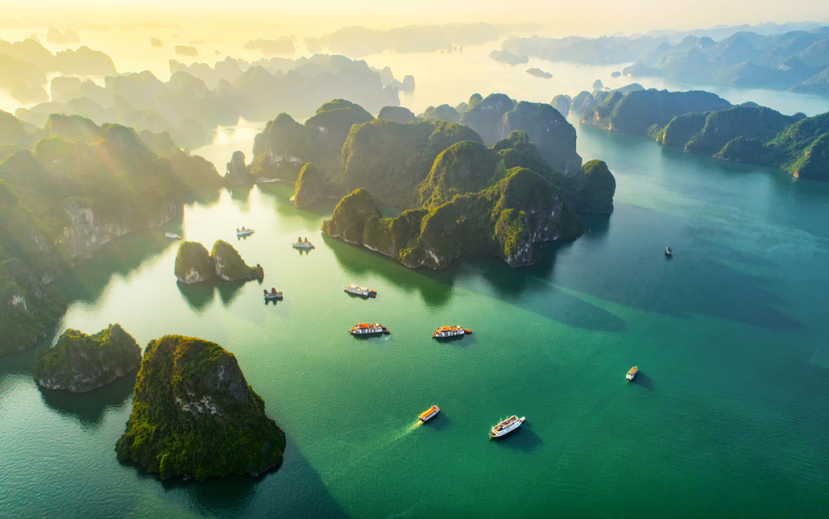 NEPOUZ, Vietnam