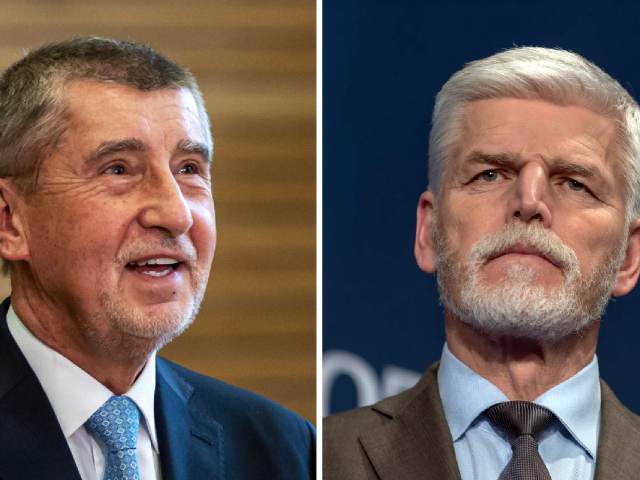 Babiš, Pavel