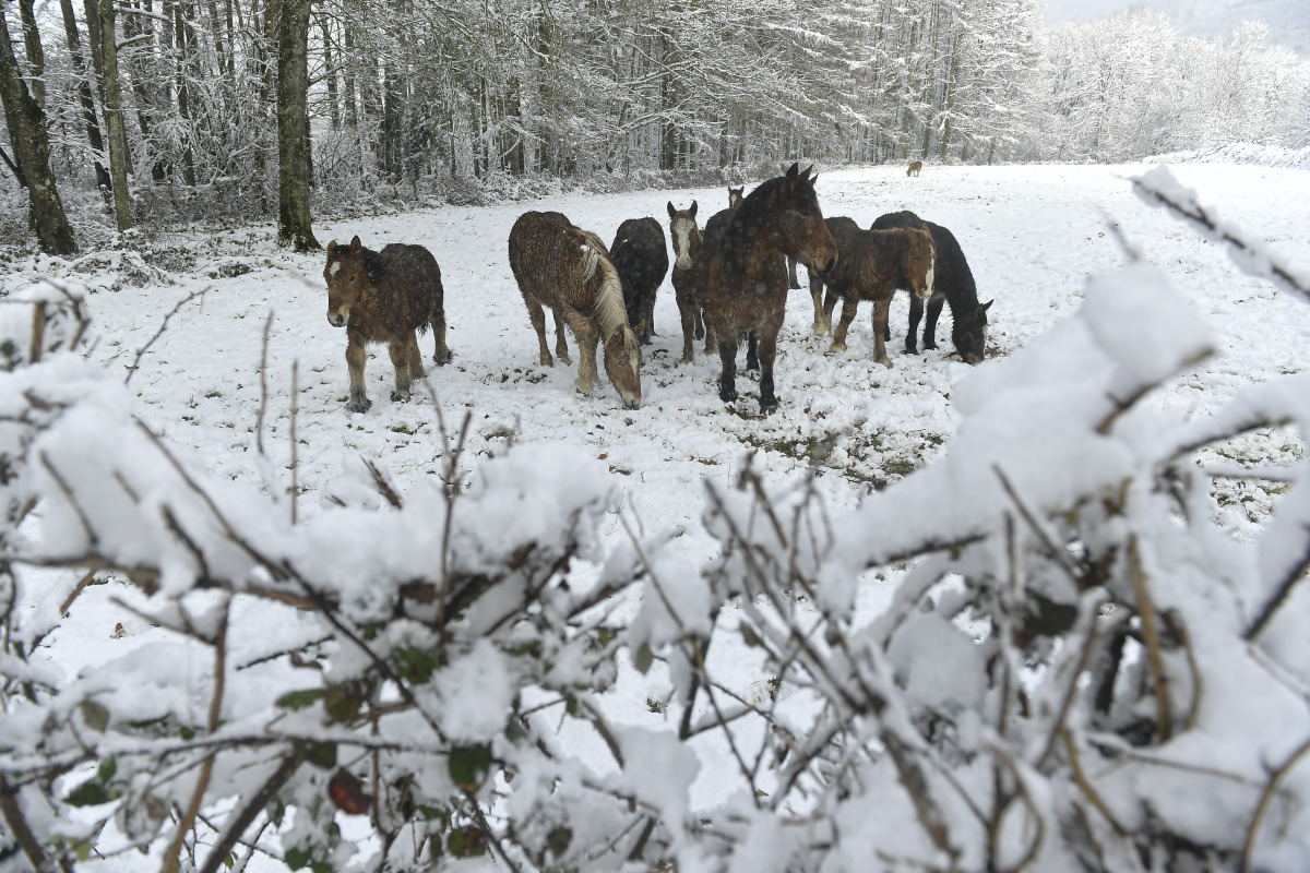 Španielsko sever počasie ochladenie sneh varovanie