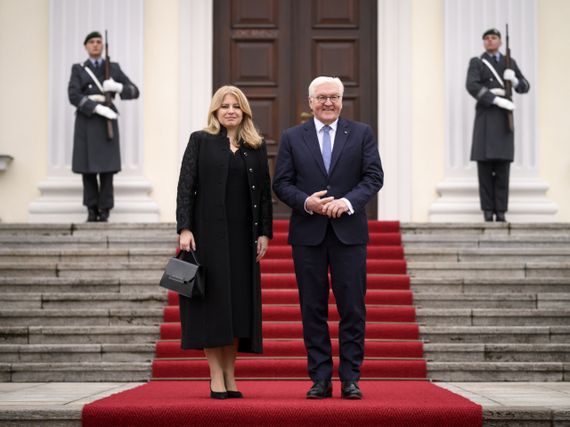 čaputová, steinmeier