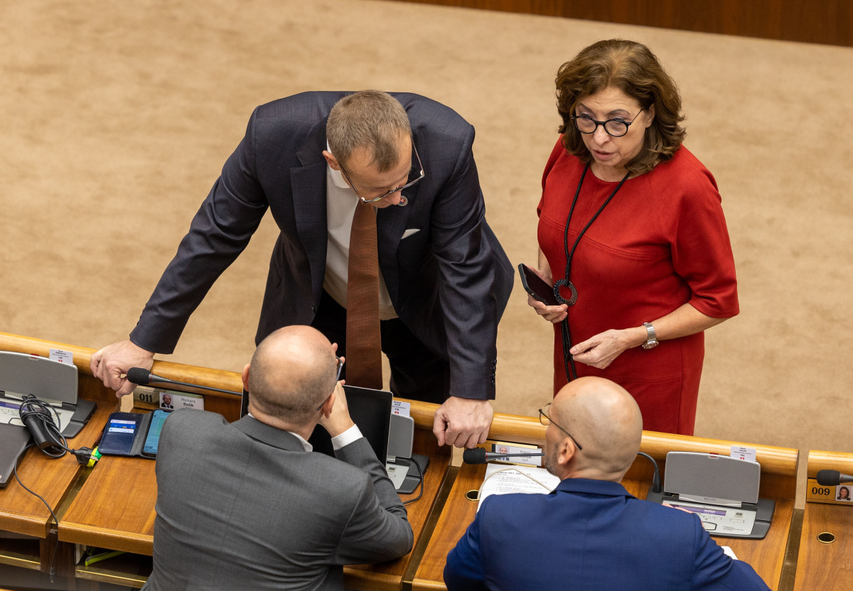 Boris Kollár, Anna Zemanová, parlament