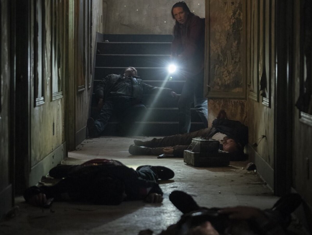 the last of us,