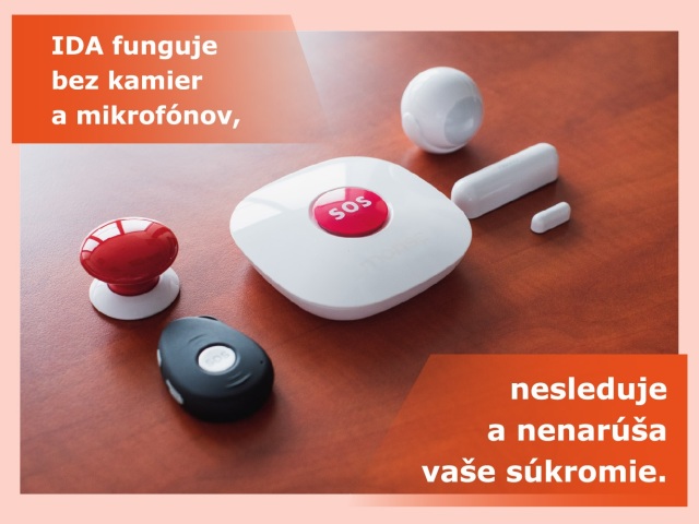 IDA domaca asistentka