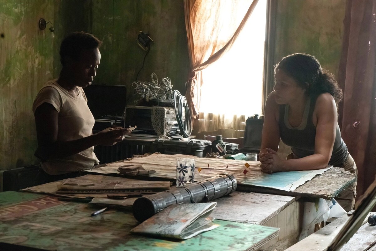 The Last of Us