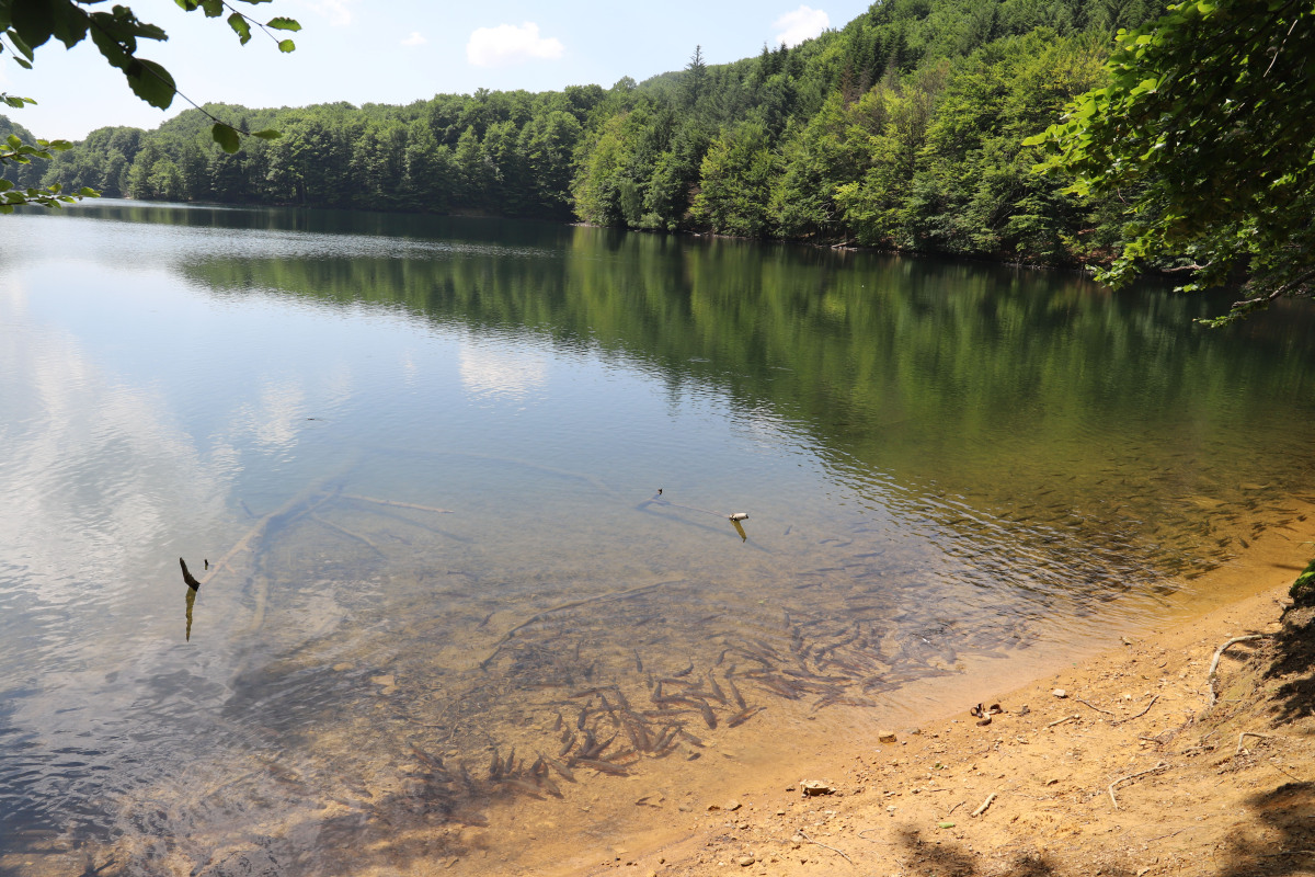 morské oko, Vihorlat, jazero, ryby, UNESCO, voda, priroda, relax, dovolenka