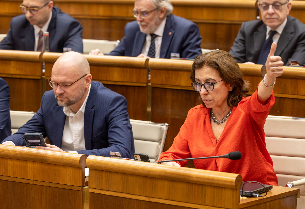 Richard Sulík, Anna Zemanová, parlament