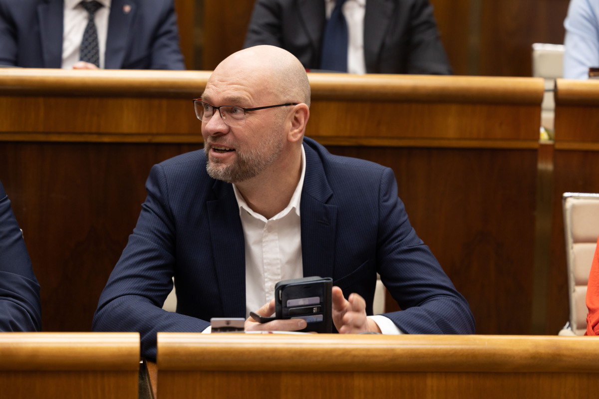 Richard Sulík, parlament