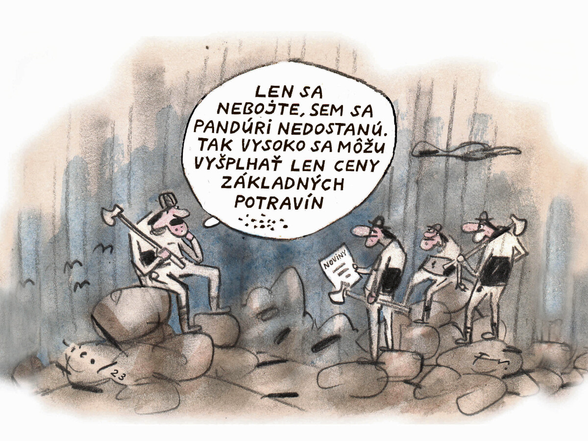 VICO, 06.02.2023