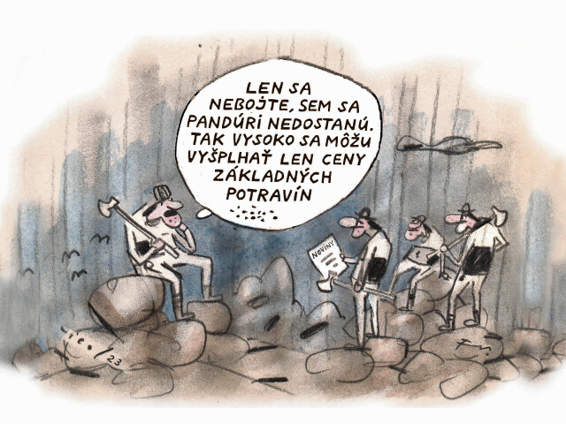 VICO, 06.02.2023