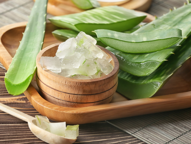 aloe