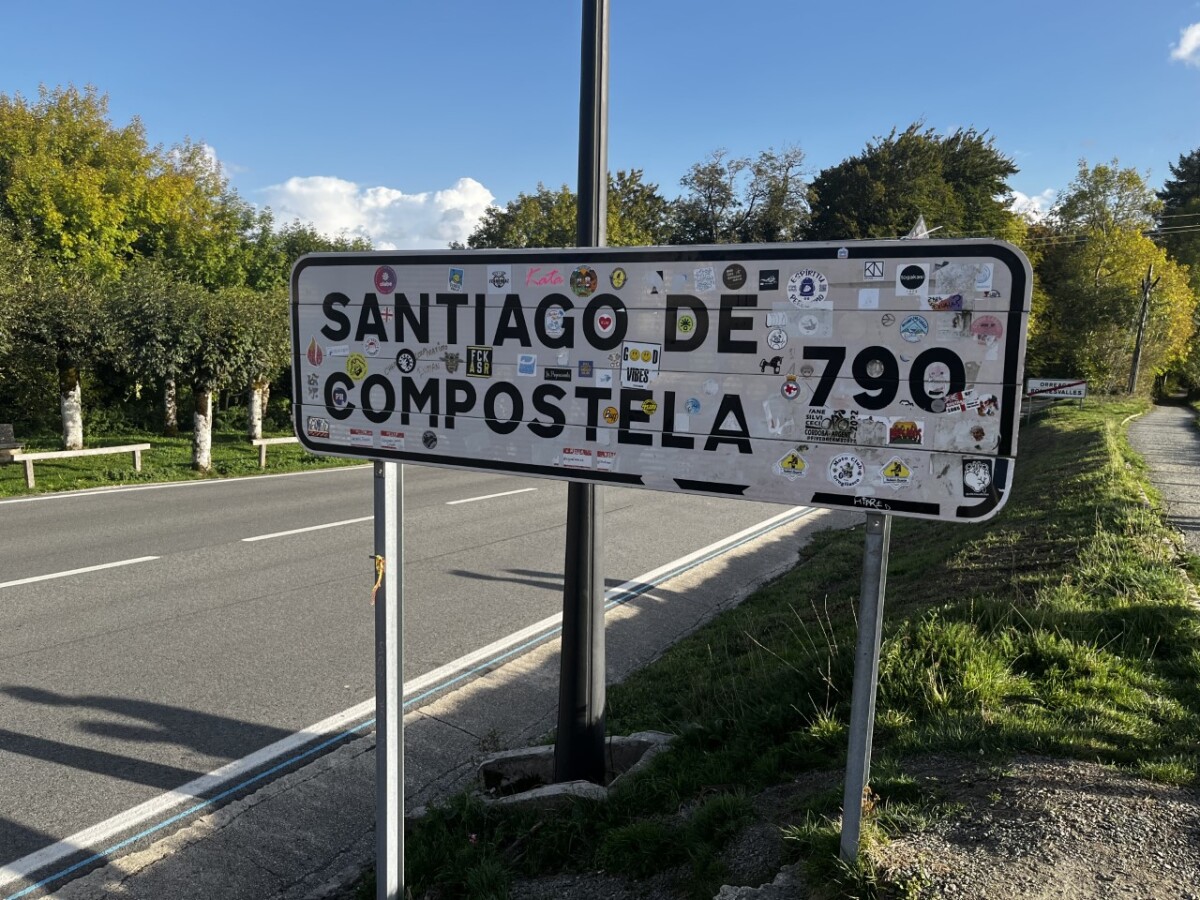 Camino de Santiago, Viera Orosová
