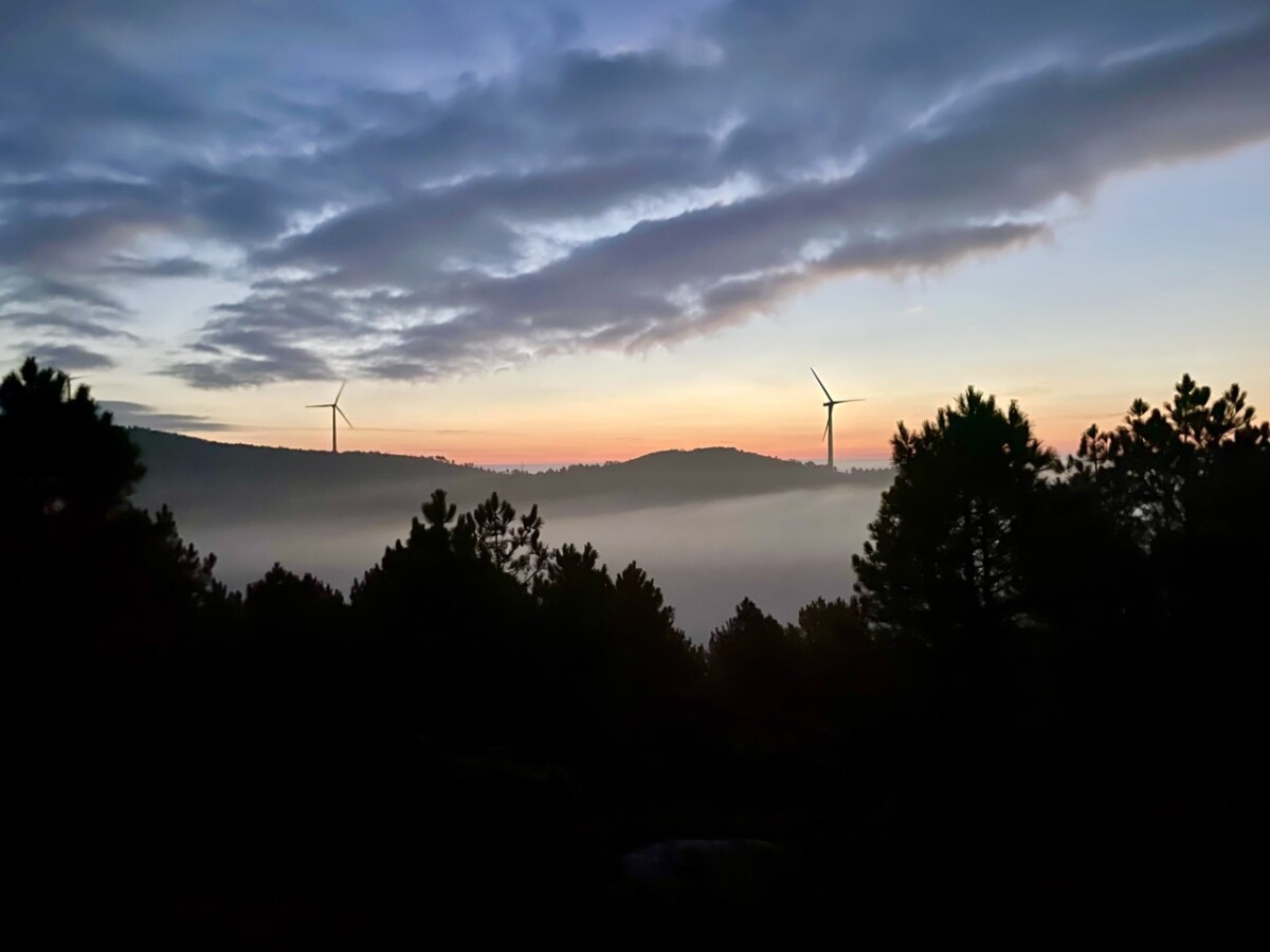Camino de Santiago, Viera Orosová