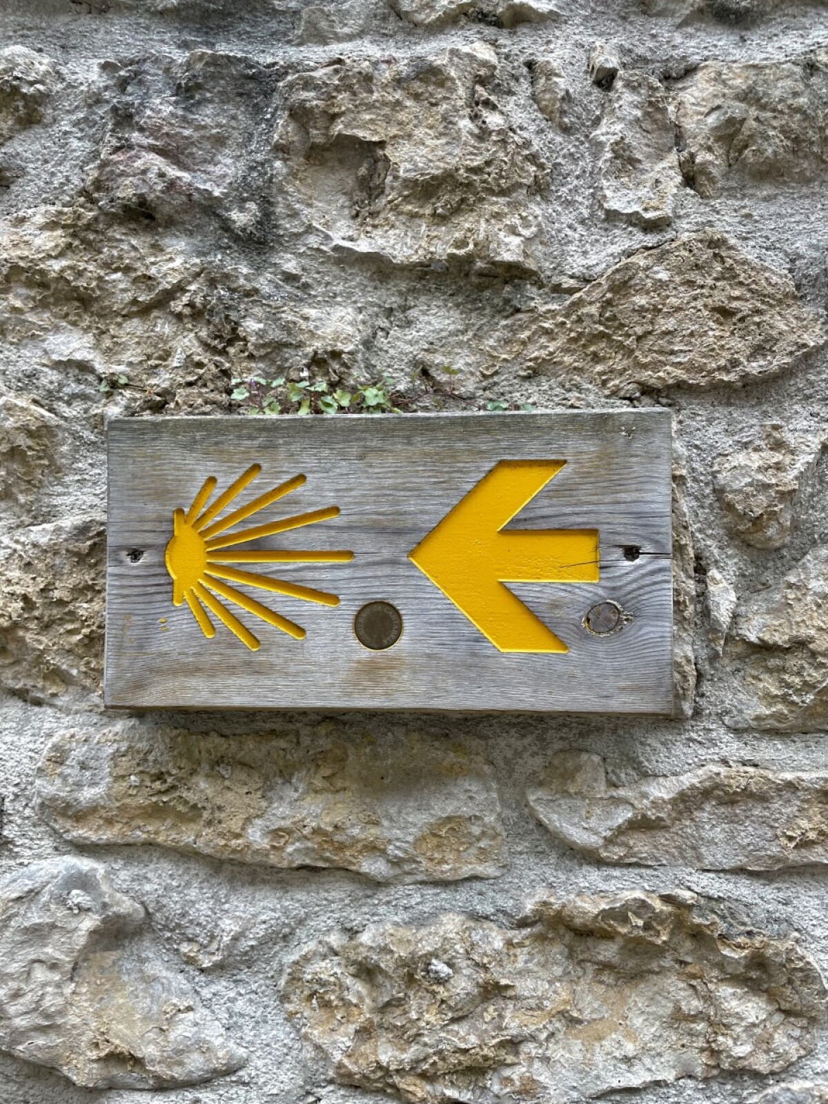 Camino de Santiago, Viera Orosová
