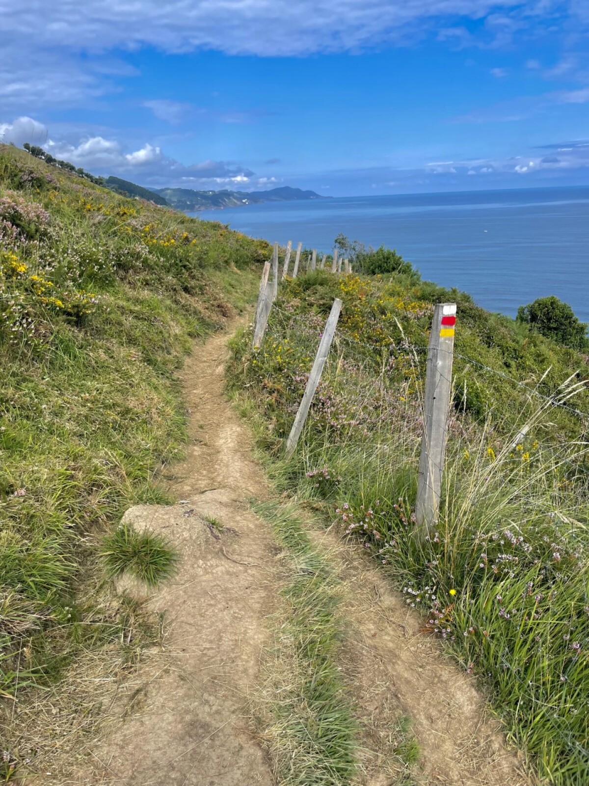 Camino de Santiago, Viera Orosová