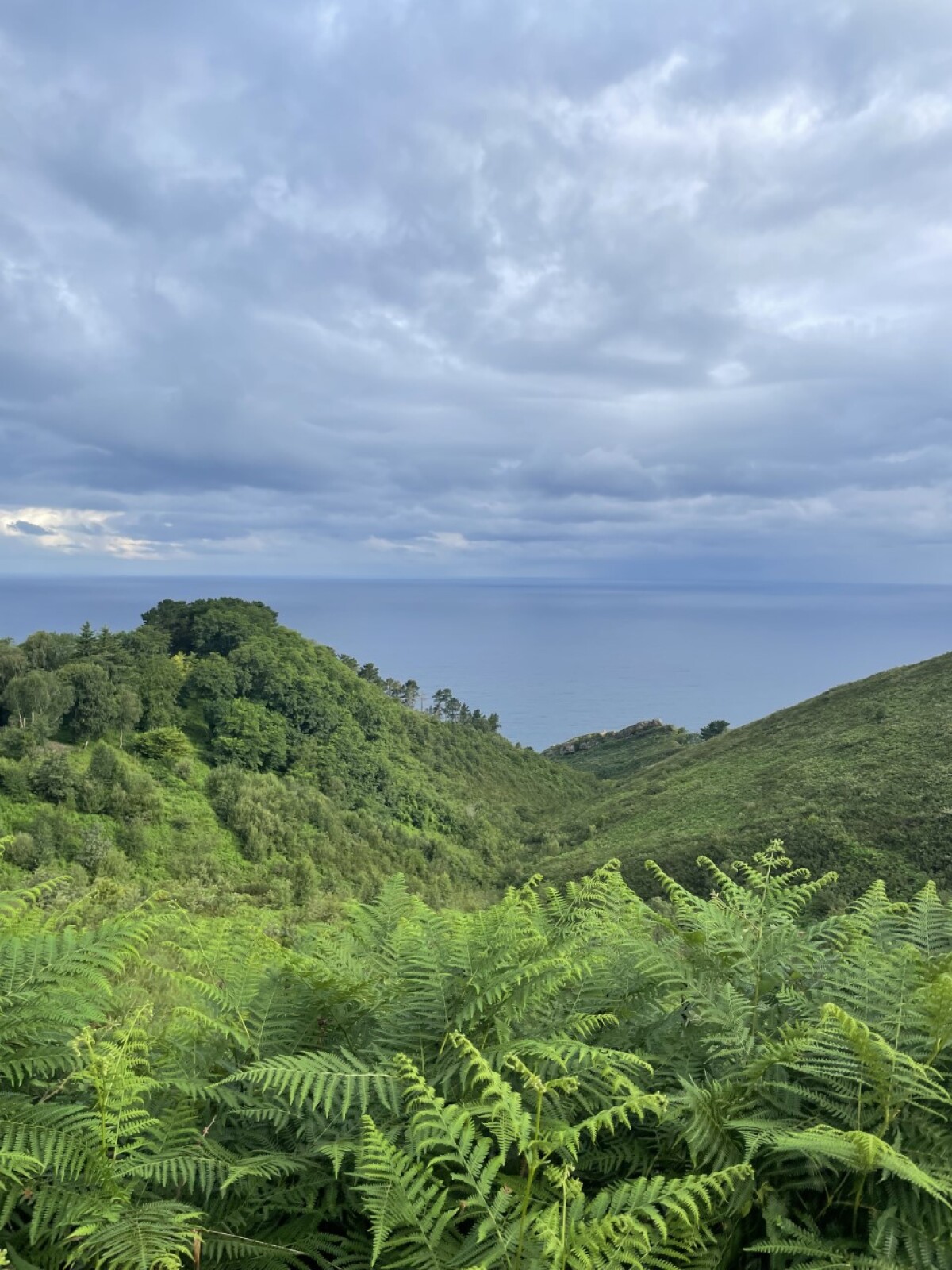 Camino de Santiago, Viera Orosová