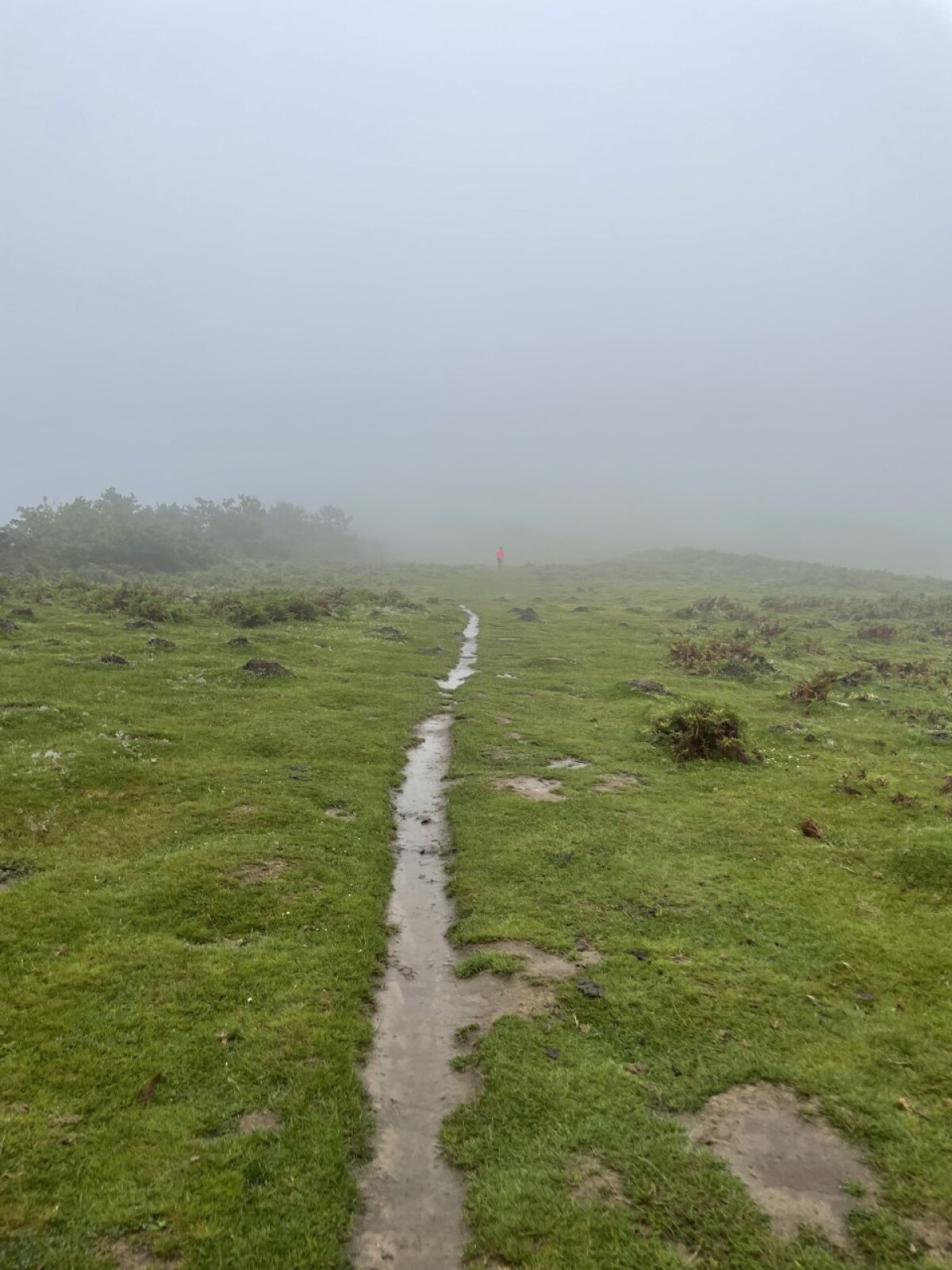 Camino de Santiago, Viera Orosová
