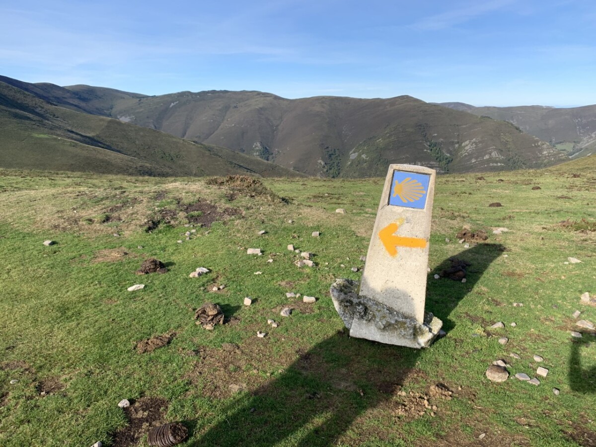 Camino de Santiago, Viera Orosová