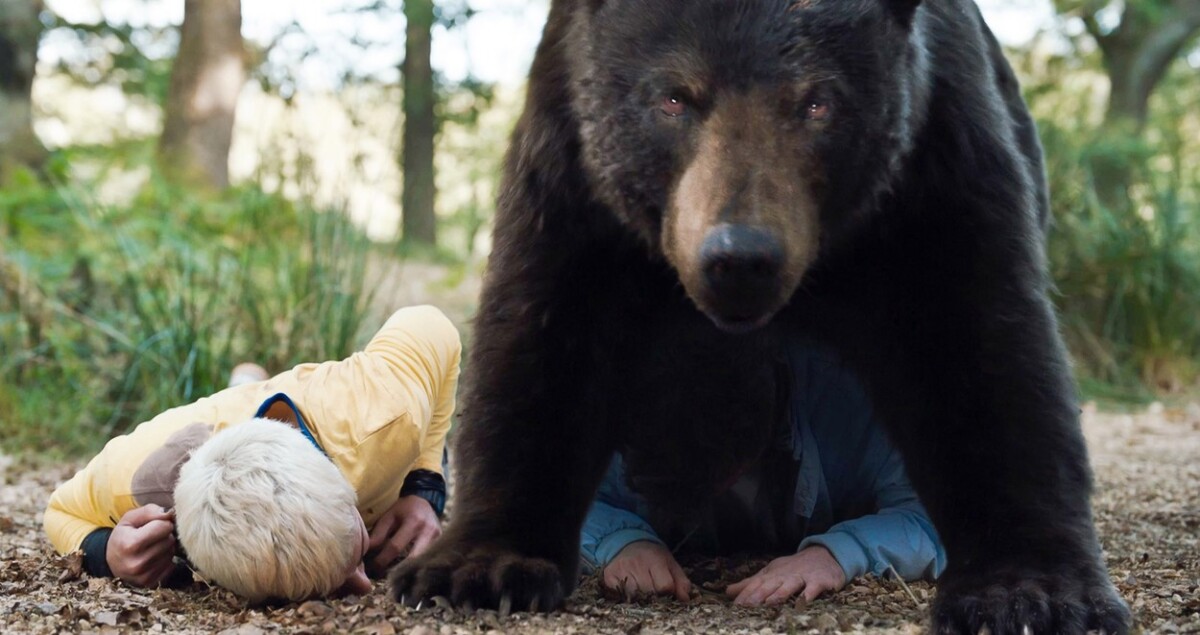 Medveď na kokse