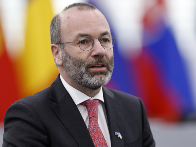 Manfred Weber
