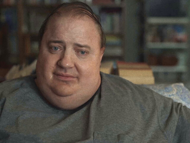 the whale