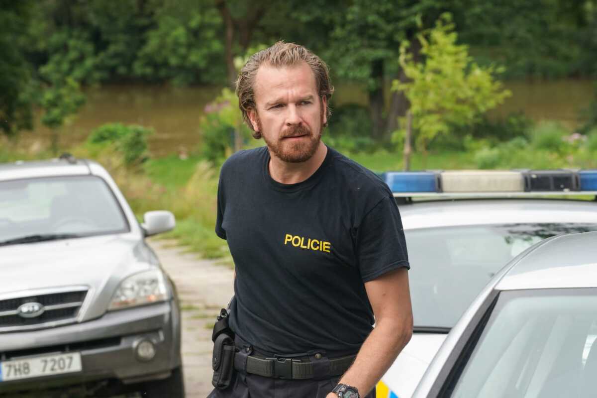 Zákony vlka
