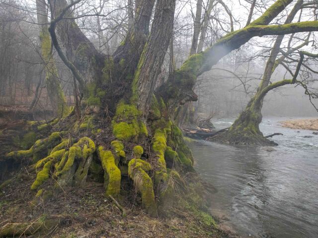 jelsa, slatina, rieka, slatinka