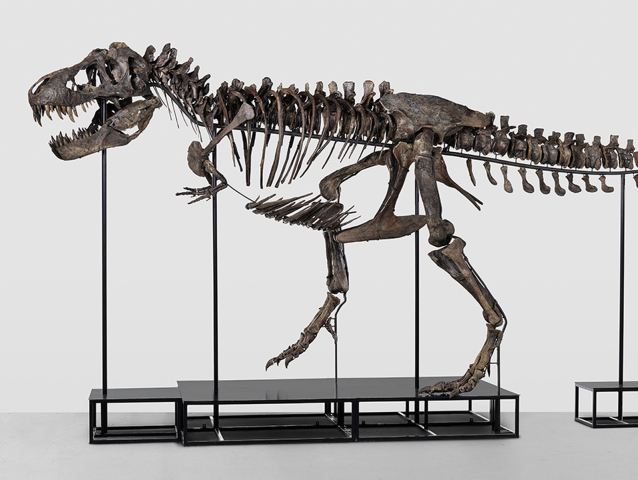 T-REX-Trinity Totale Final-2